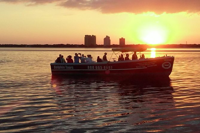 1.5-hour Dolphin Sightseeing Cruise from Tampa - Tampa Bay views beyond the dolphins