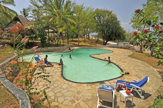 1 Day Wasini Dolphin Tour - What the $150 price covers