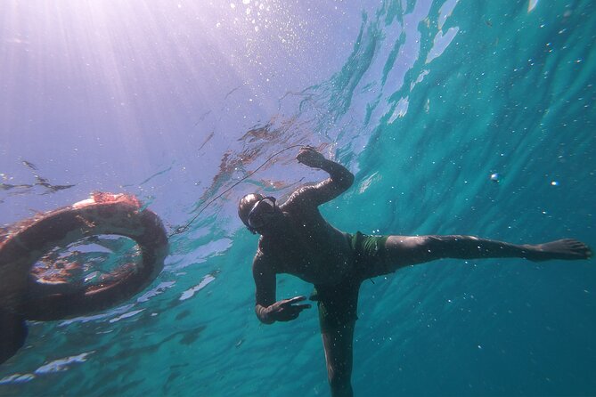1 Day Wasini Dolphin Tour - Practical details that affect the day