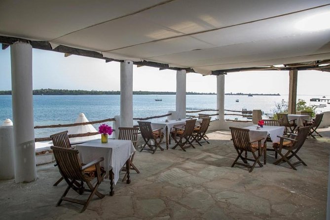 1 Day Wasini Dolphin Tour - Is the dolphin watching worth the overnight stay?