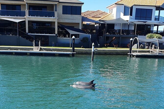 1 Hour Deluxe Scenic Dolphin Cruise - Creery Wetlands and the move toward nature