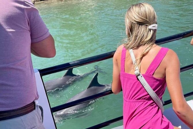 1 Hour Deluxe Scenic Dolphin Cruise - Comfort, group size, and practical details