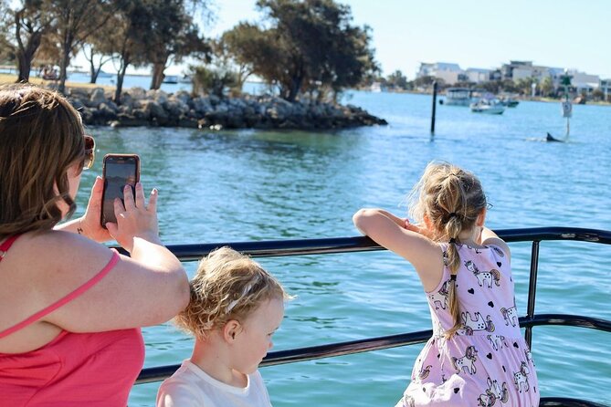 1 Hour Deluxe Scenic Dolphin Cruise - How the price compares with the experience