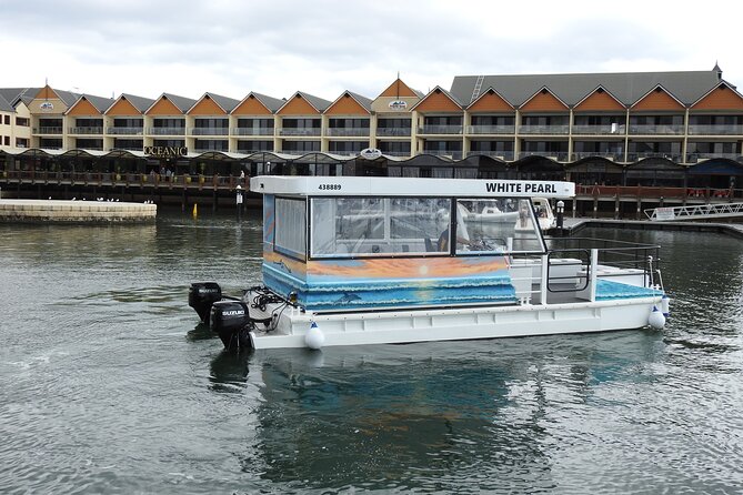 1 Hour Deluxe Scenic Dolphin Cruise - The canals and Mandurah’s million-dollar homes