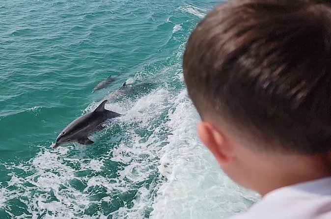1 Hour Dolphin Dash - Booking, cancellations, and weather plans
