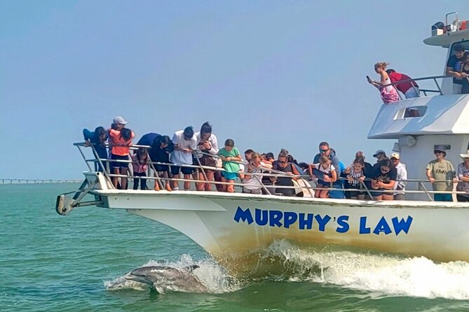 1 Hour Dolphin Dash - Choosing your place on the 67-foot double-decker boat