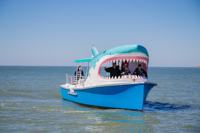 1-hour Dolphin Sightseeing Adventure Cruise from Madeira Beach - Quick points to know
