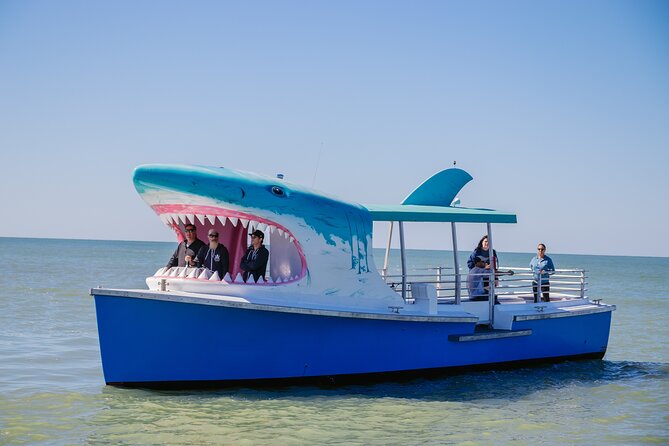 1-hour Dolphin Sightseeing Adventure Cruise from Madeira Beach - Boca Ciega Bay, islands, and waterfront homes