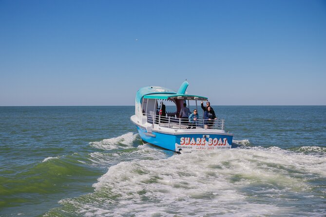 1-hour Dolphin Sightseeing Adventure Cruise from Madeira Beach - The one-hour schedule and what it offers