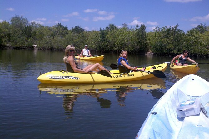 1-Hour Tandem Kayak Rental with Manatee & Dolphin sightings - What This One-Hour Paddle Really Is