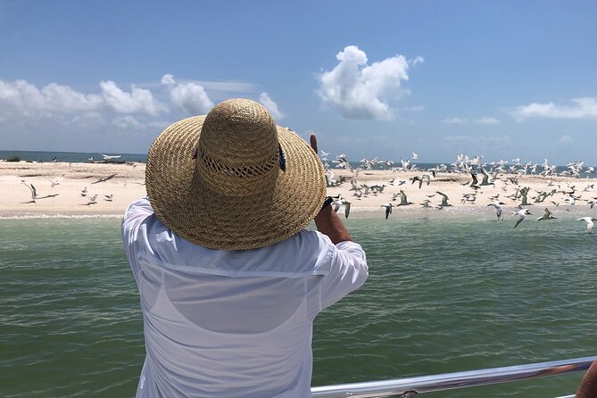 10,000 Islands Excursion Small-Group 3.5 hour Dolphin & Shelling Boat Tour - Who will enjoy this tour most?