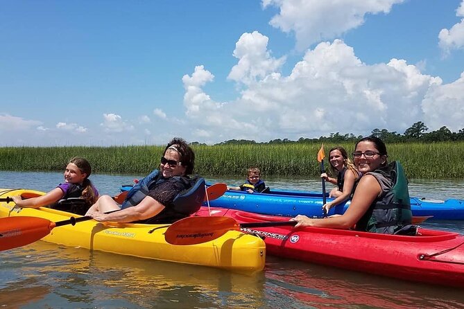 2 1/4 Hour Private Kayak Hilton Head Dolphin Nature Experience - Why Broad Creek Estuary is the right setting
