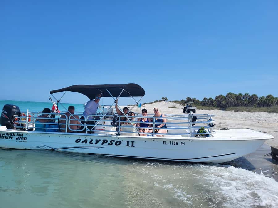 2.5 Hour Shell Key Island Adventure - Dolphins And Shells - What the 2.5-hour Shell Key trip is really about