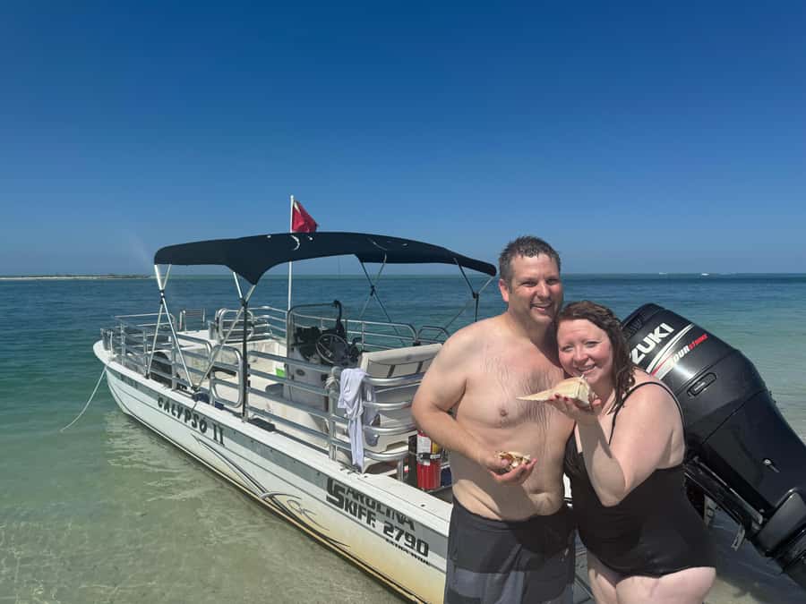 2.5 Hour Shell Key Island Adventure - Dolphins And Shells - Mangroves, estuaries, and Florida wildlife