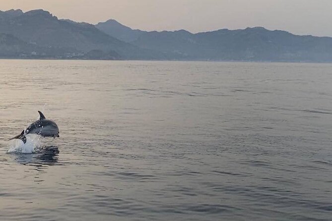 2.5 Hours Sunset Boat Tour in Search of Dolphins - Sunset, Etna, and the ride back