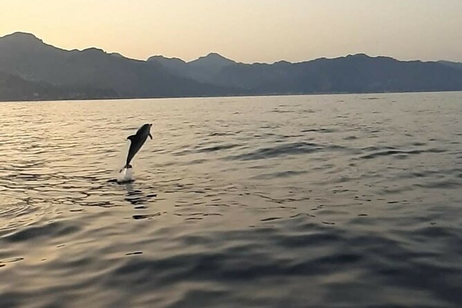2.5 Hours Sunset Boat Tour in Search of Dolphins - Leaving Giardini Naxos for Isola Bella