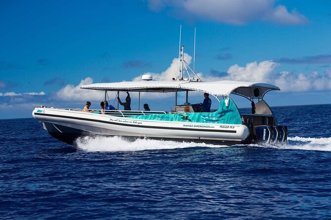 2 Hour Big Island Dolphin Watching and Sea Turtle Snorkel Tour - Key points to know before booking