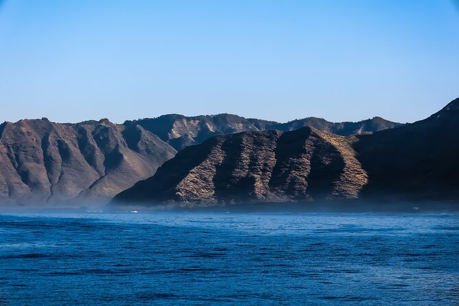 2 Hour Big Island Dolphin Watching and Sea Turtle Snorkel Tour - What the $88 price really covers