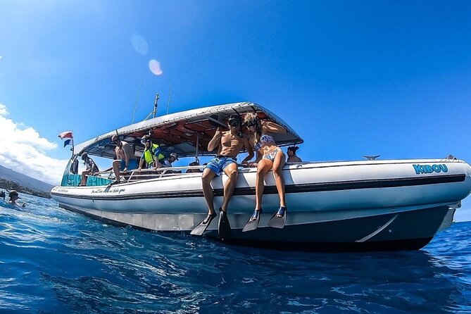 2 Hour Big Island Dolphin Watching and Sea Turtle Snorkel Tour - Simple planning tips for the boat