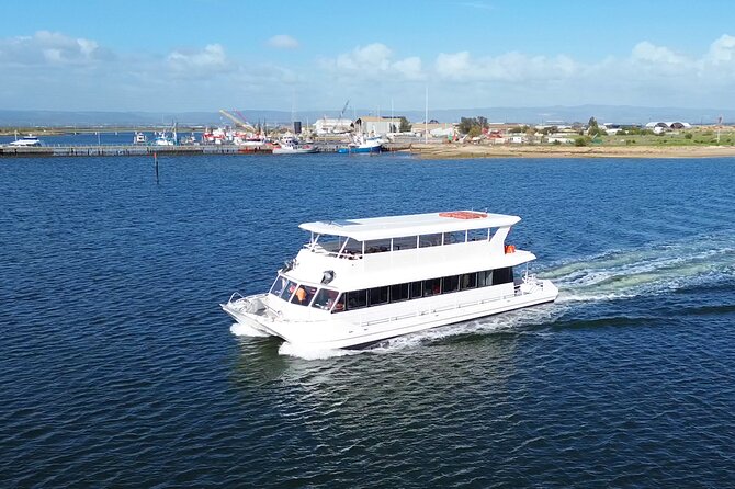 2-Hour Dolphin and Maritime Cruise in Port Adelaide - Why Port Adelaide works better than a standard dolphin cruise