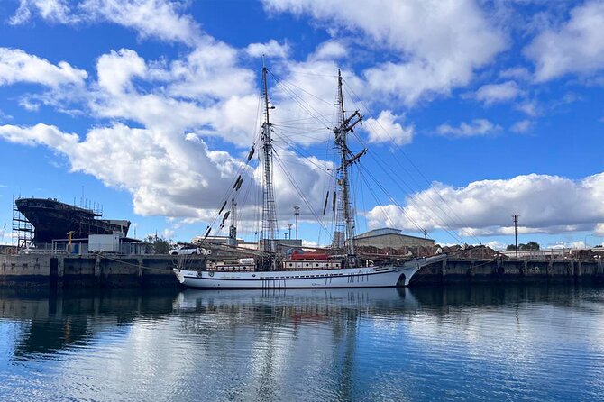 2-Hour Dolphin and Maritime Cruise in Port Adelaide - Osborne Naval Shipyard and modern Australia