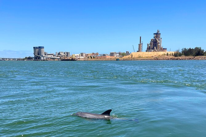 2-Hour Dolphin and Maritime Cruise in Port Adelaide - What the skipper adds to the experience