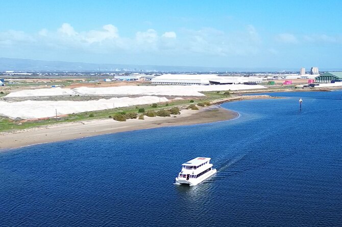 2-Hour Dolphin and Maritime Cruise in Port Adelaide - How much value do you get for $63.12?