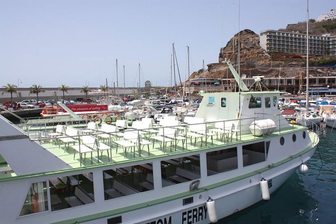 2-Hour Dolphin and Whale Watching in Gran Canaria - Whales, turtles, and the limits of the promise