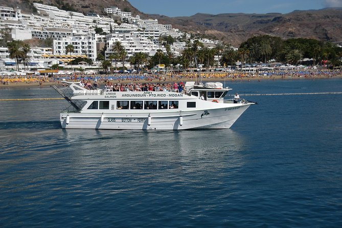 2-Hour Dolphin and Whale Watching in Gran Canaria - A large boat, a lively deck, and sea conditions