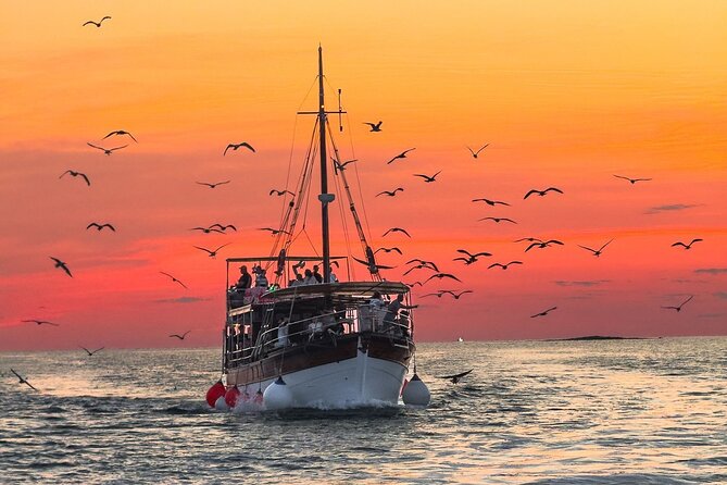 2-Hour Dolphin Guided Safari NP Brijuni from Fazana - Key points to know before booking