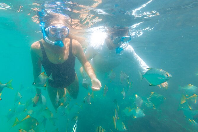 2-Hour Dolphin Kayak & Snorkel Tour on the Broadwater - What the $62.40 price includes