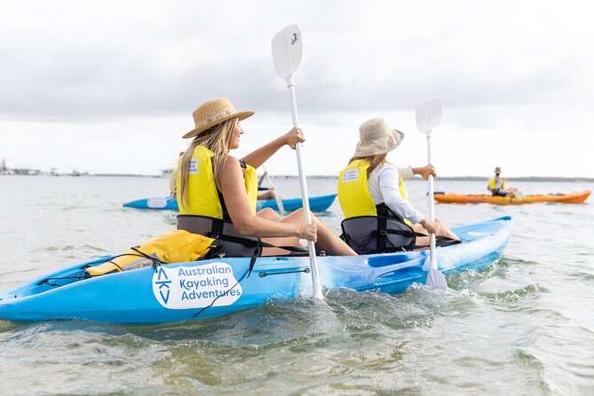 2-Hour Dolphin Kayak & Snorkel Tour on the Broadwater - Who will enjoy this two-hour outing