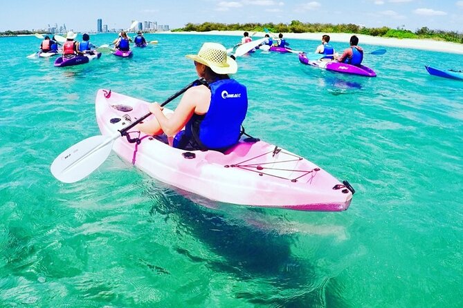 2-Hour Dolphin Kayak & Snorkel Tour on the Broadwater - Practical details before you book