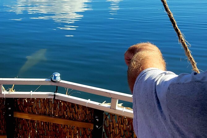 2 hour Dolphin Sightseeing Tour in Melbourne Florida - Captains who mix facts with local stories