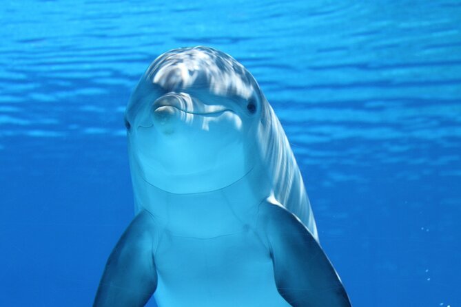 2-Hour Dolphin Sunset Tour from Giardini Naxos - What the small boat means for you