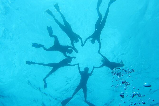2-Hour Dolphin Watching and Double Reef with Snorkel in Hawaii - Timing and practical planning