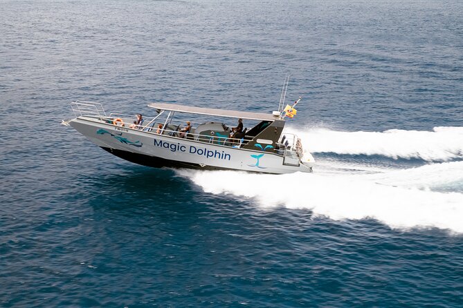 2-Hour Dolphin Watching Experience in Fuerteventura - Comfort, drinks, and what to bring