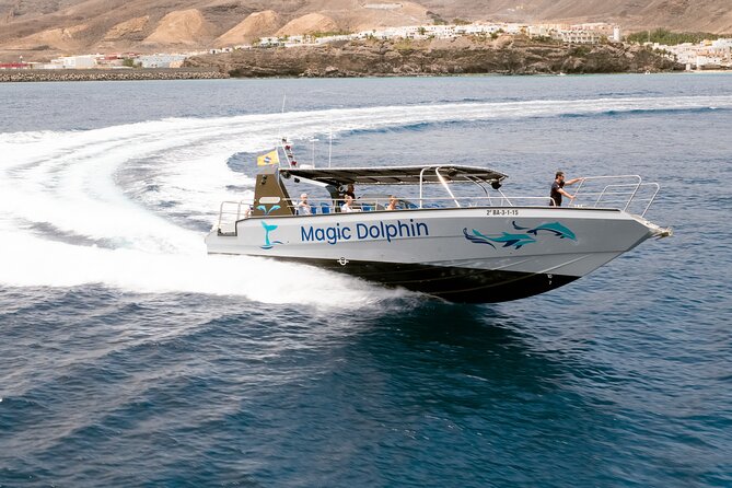 2-Hour Dolphin Watching Experience in Fuerteventura - Booking, weather, and cancellation details