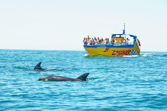 2 Hour Dolphin Watching Experience in Muscat - Two hours on the Arabian Sea