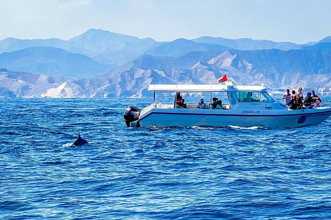 2 Hour Dolphin Watching Experience in Muscat - What the guide adds to the outing