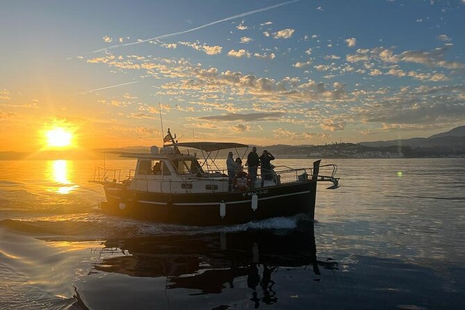 2-Hour Excursion in Search of Dolphins/ Includes Drink and Snacks - Two hours searching for dolphins
