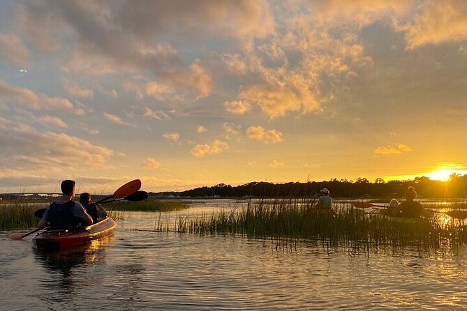 2 Hour Kayak Hilton Head Dolphin and Nature Tour - Who should book this nature tour