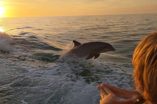 2 Hour Private Dolphin and Sightseeing Tour Shell Island - Key points to know before booking