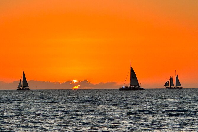 2 Hour Private Dolphin and Sightseeing Tour Shell Island - What the captains add to the experience