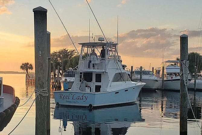 2 Hour Private Dolphin Sightseeing Tour - A private way to see Panama City Beach from the water
