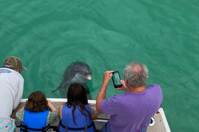 2 Hour Private Dolphin Sightseeing Tour - The dolphins are the main event