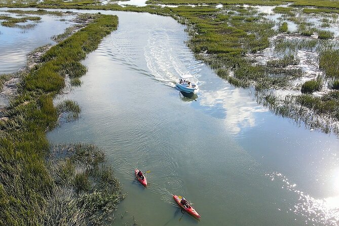 2-Hour Private Hilton Head Dolphin Watching Cruise - Quick takeaways