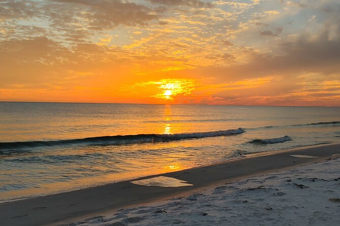 2-Hour Private Sightseeing Dolphin Tour in Panama City Beach - Shell Island gives the trip a clear destination