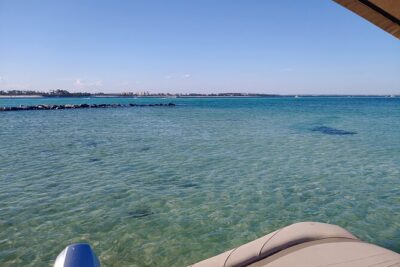 2-Hour Private Sightseeing Dolphin Tour in Panama City Beach