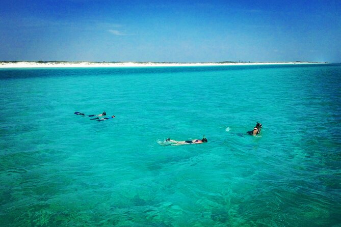 2-Hour Private Sightseeing Dolphin Tour in Panama City Beach - What families should know about the boat